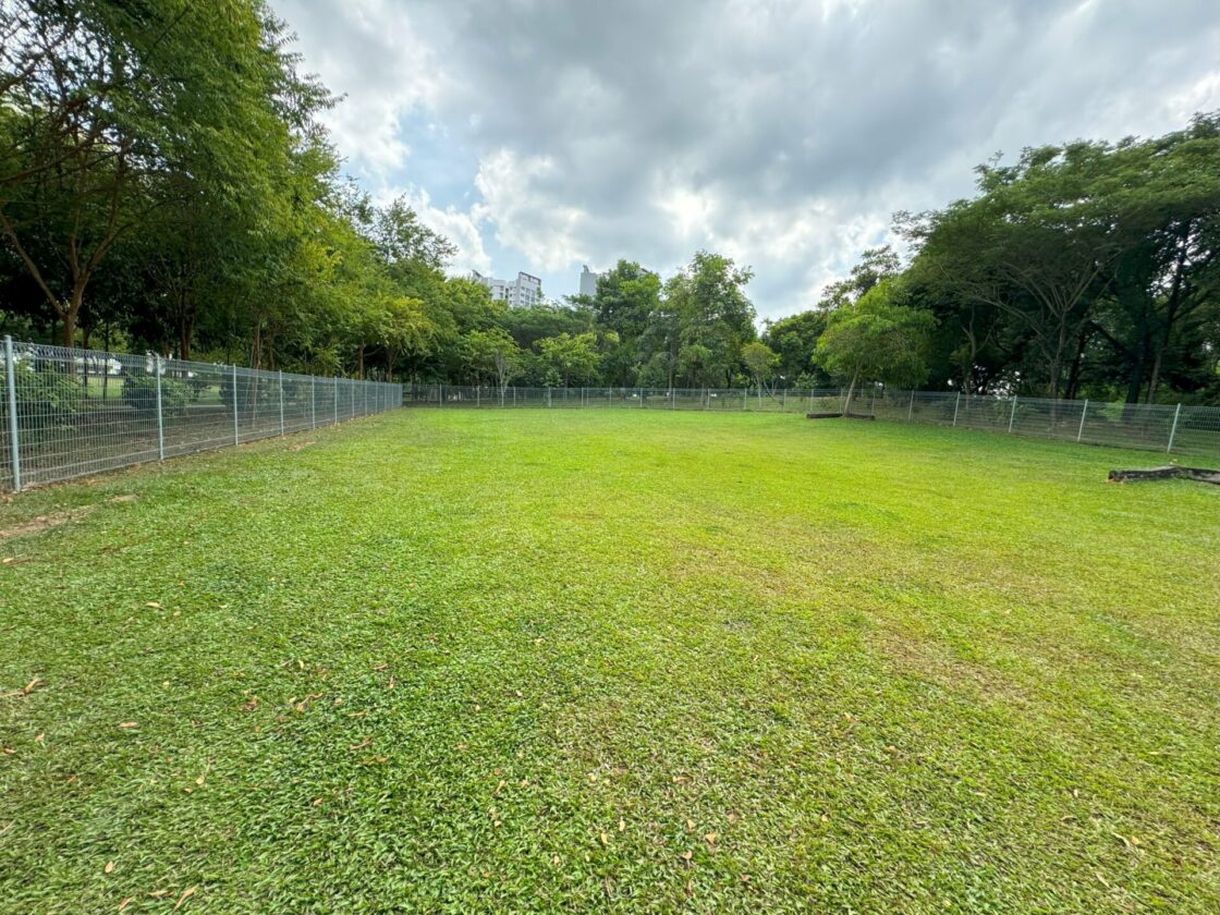 Punggol Waterway Park Dog Runの画像4