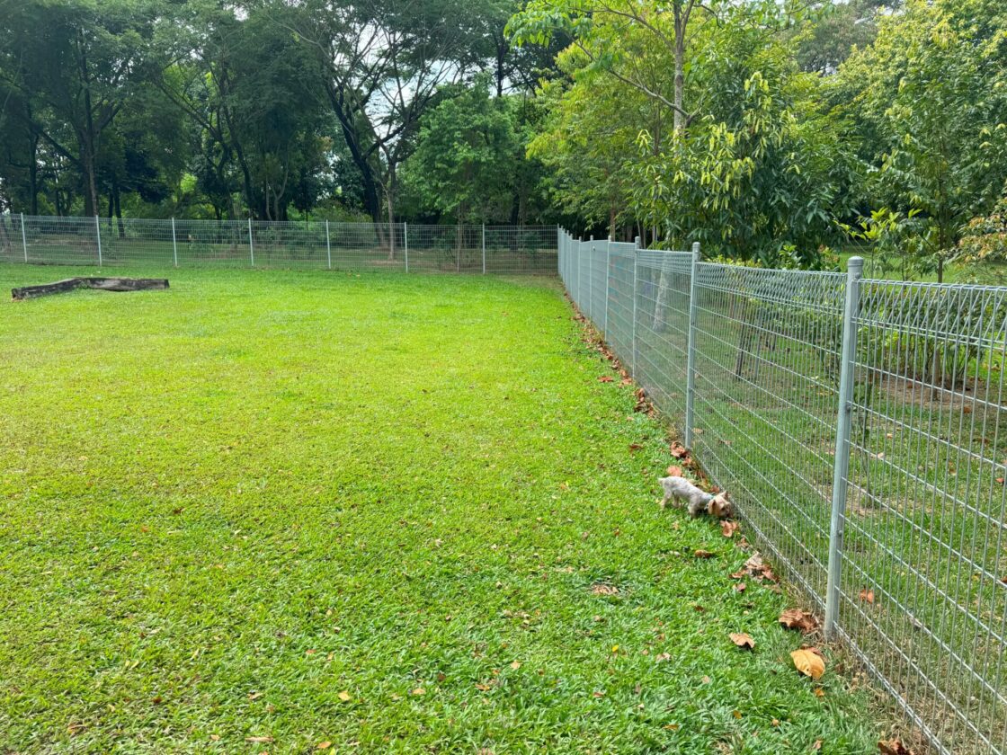 Punggol Waterway Park Dog Runの画像3
