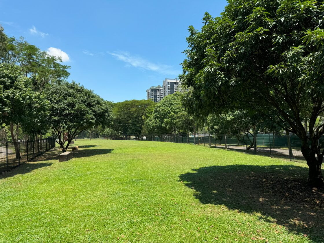 Sengkang Riverside Park Dog Runの画像4