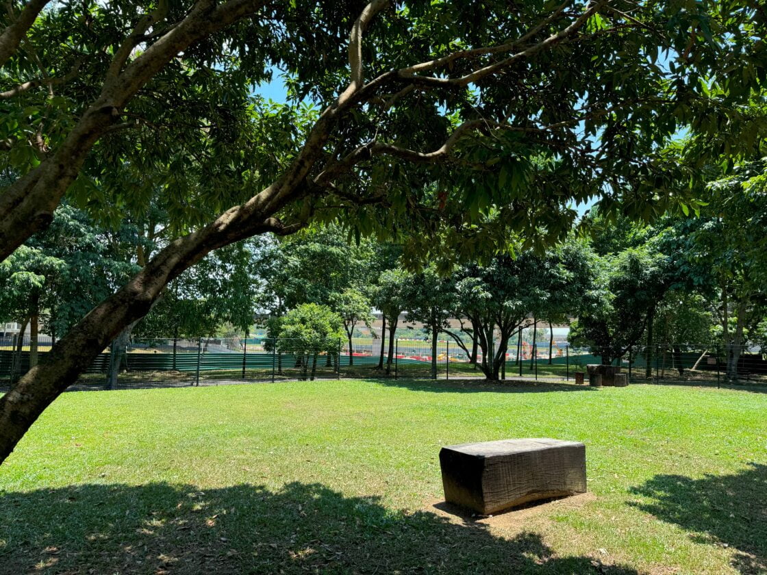Sengkang Riverside Park Dog Runの画像5