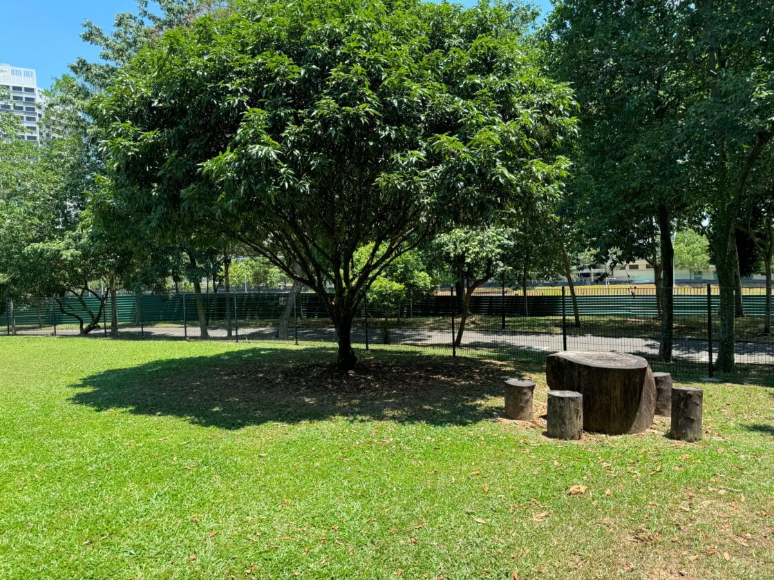 Sengkang Riverside Park Dog Runの画像7