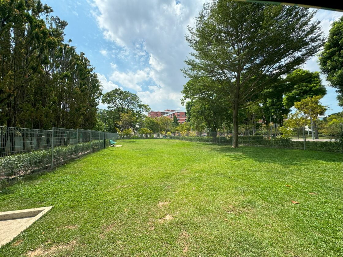 Surin Park Dog Runの画像3
