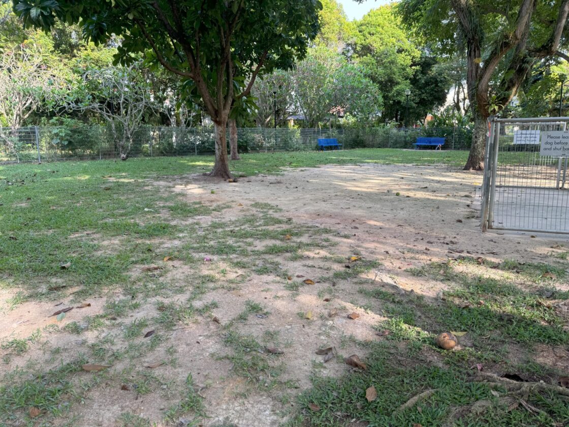 Telok Kurau Dog Runの画像3