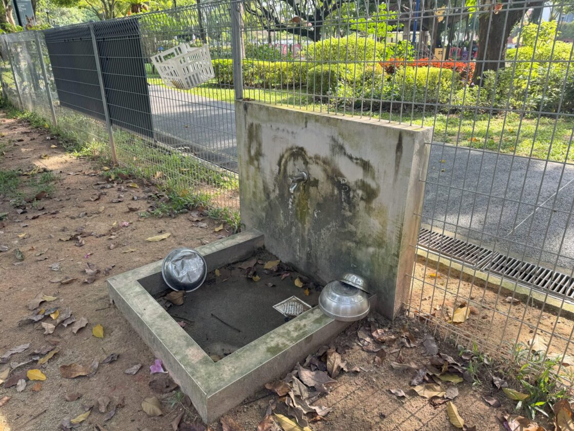 Telok Kurau Dog Runの画像8