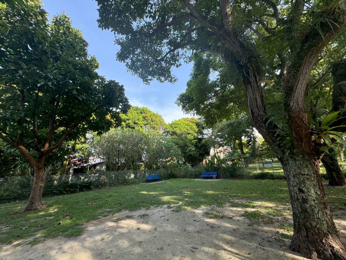 Telok Kurau Dog Runの画像7