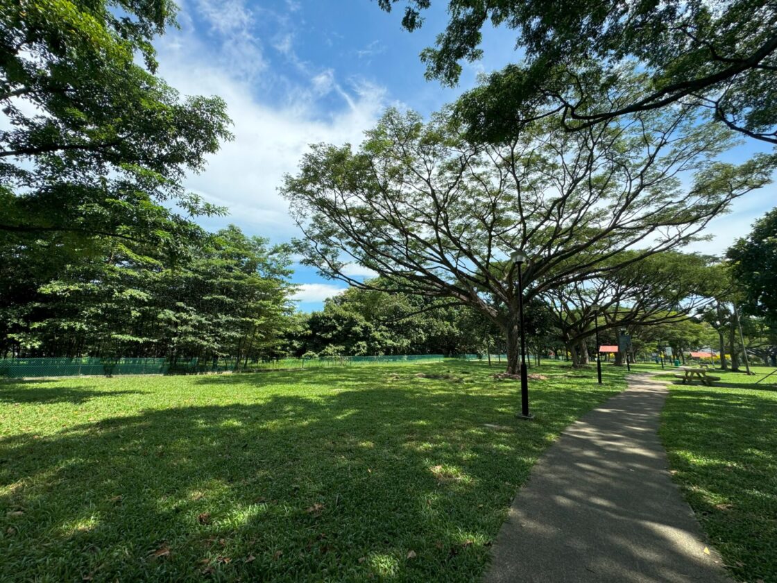 West Coast Park Dog Runの画像3