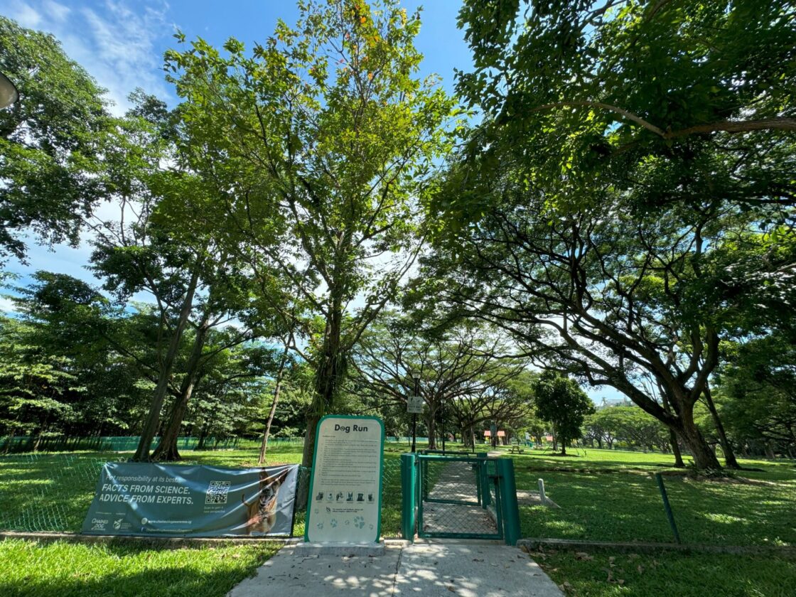 West Coast Park Dog Runの画像1