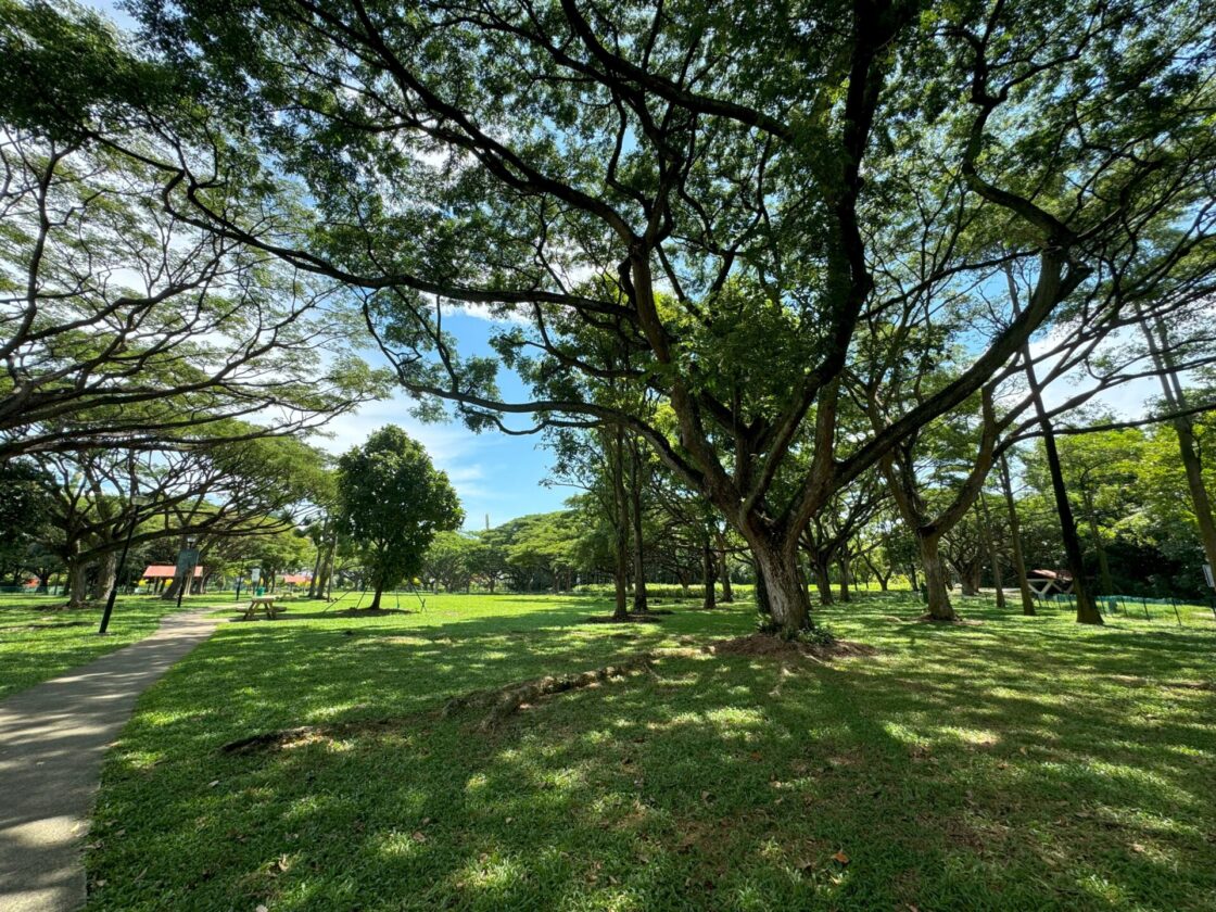 West Coast Park Dog Runの画像4