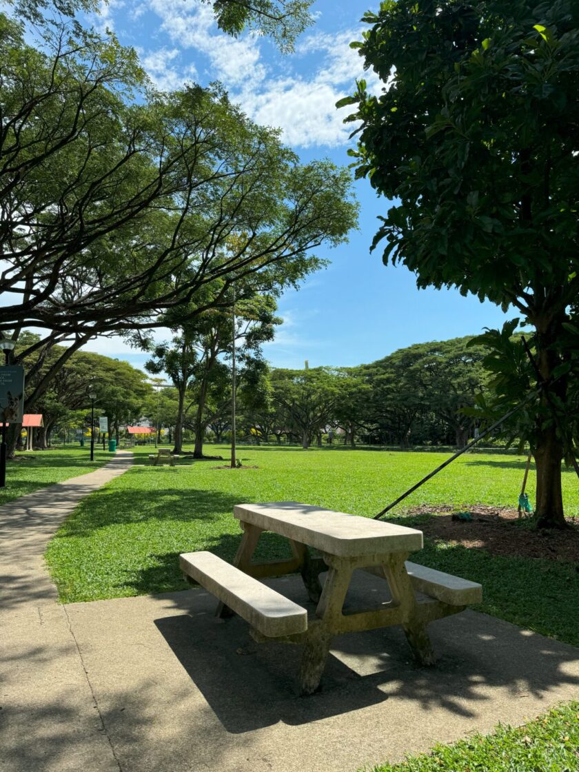 West Coast Park Dog Runの画像6