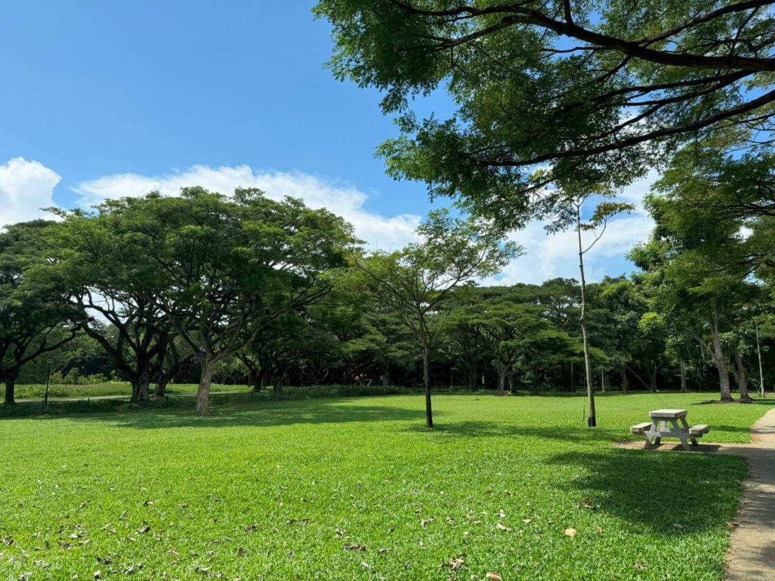West Coast Park Dog Runの画像9