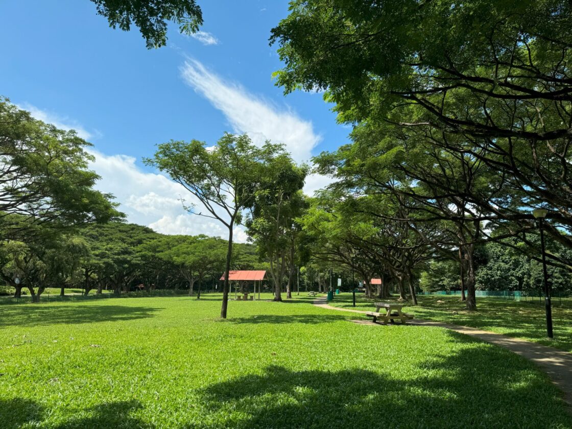 West Coast Park Dog Runの画像8