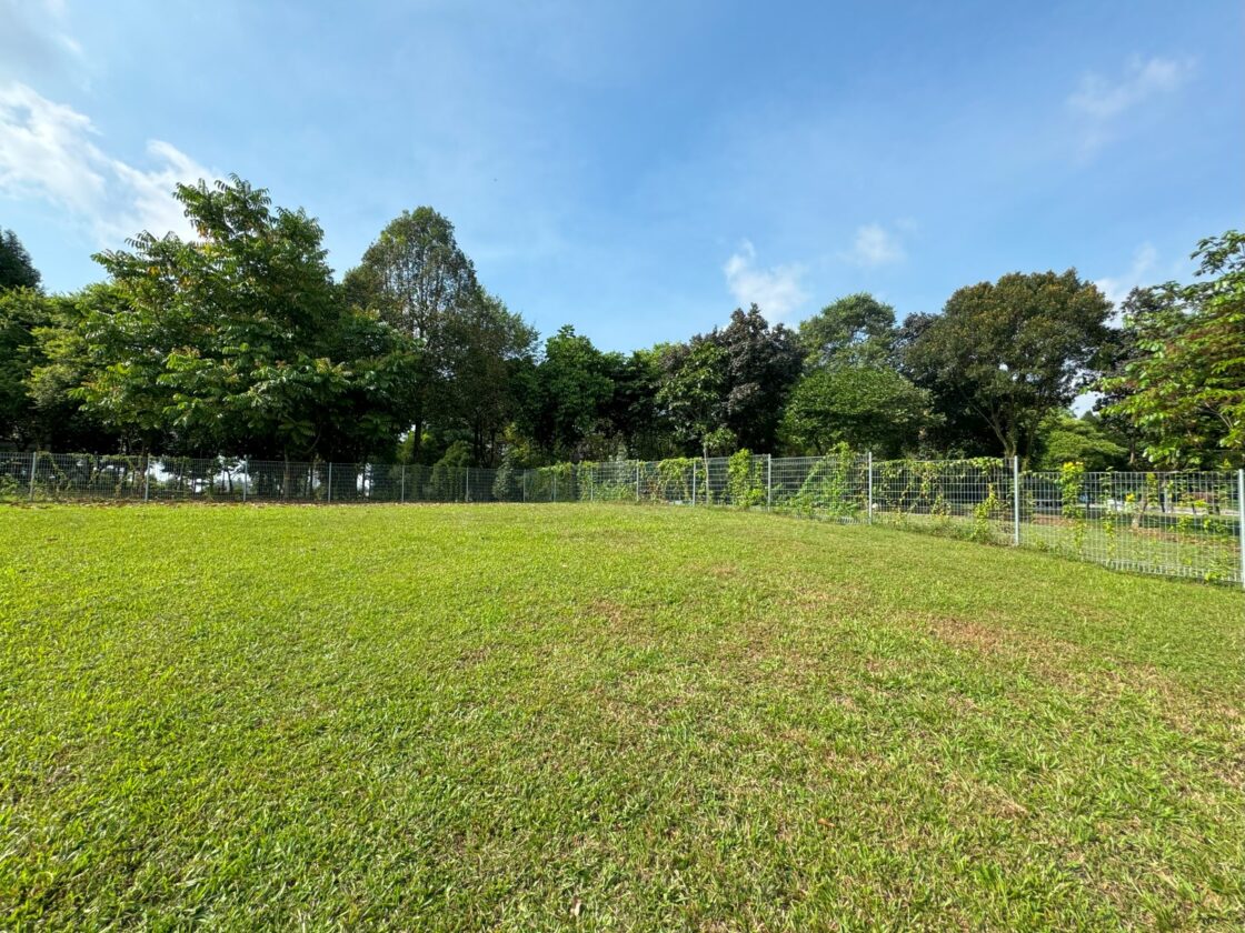 Woodlands Waterfront Park Dog Runの画像3