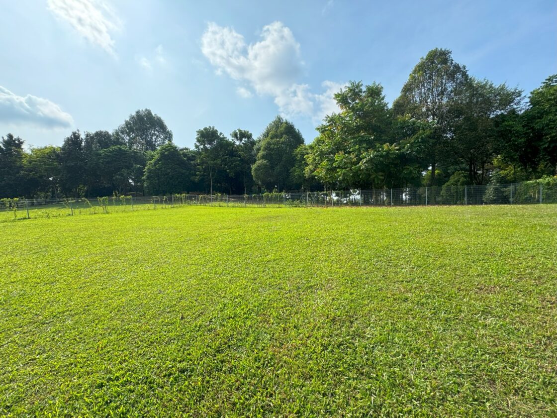 Woodlands Waterfront Park Dog Runの画像4