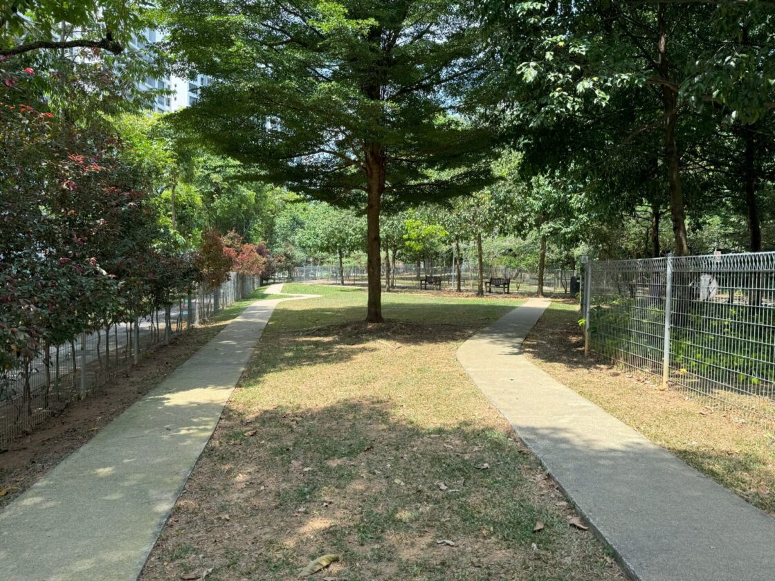 Yishun Park Dog Runの画像7