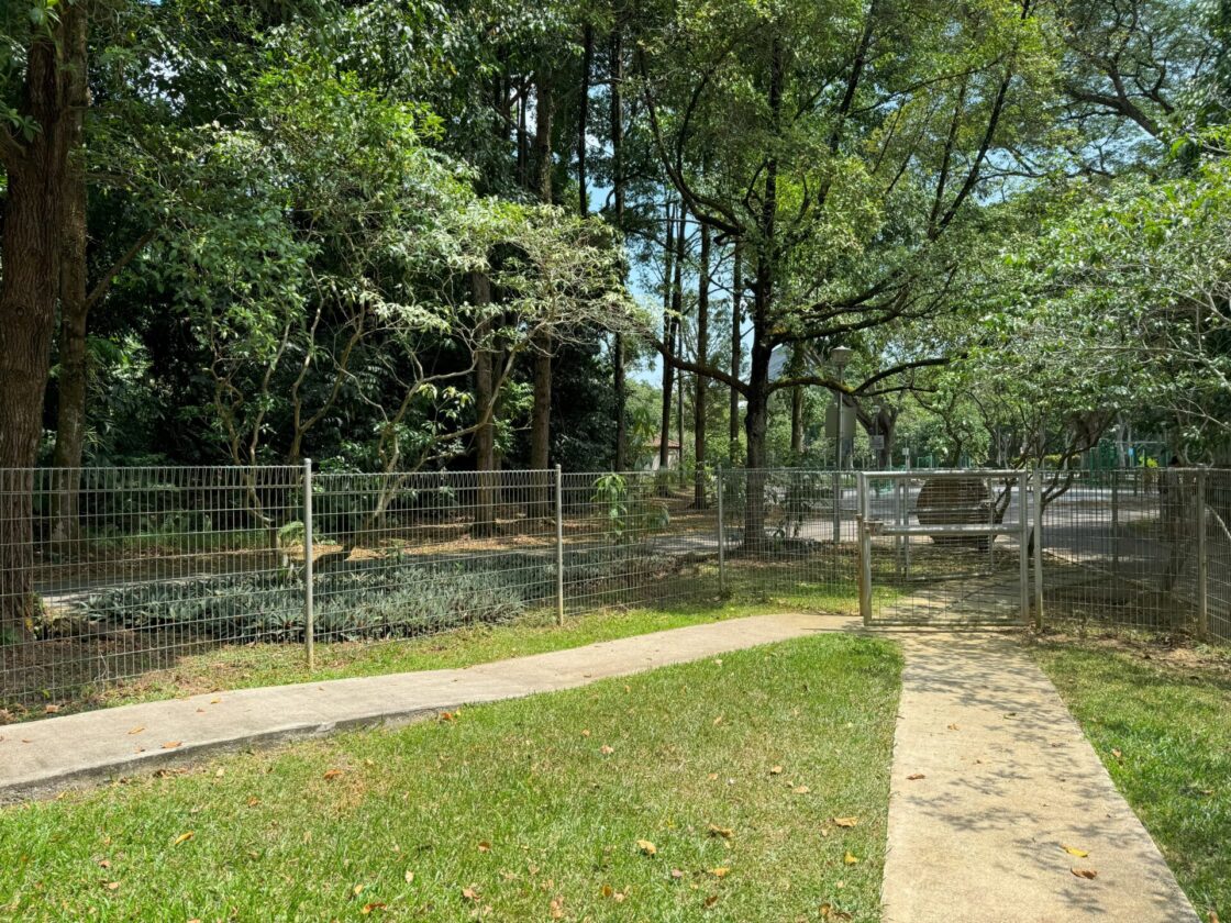 Yishun Park Dog Runの画像4