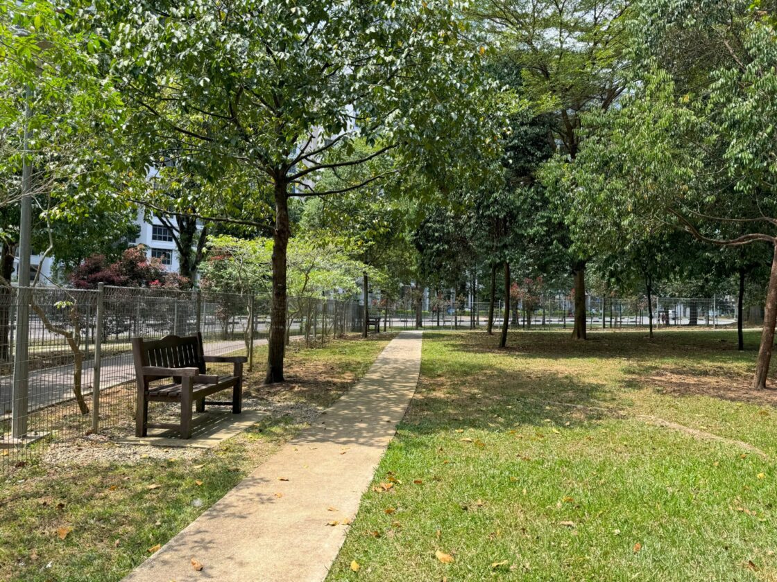 Yishun Park Dog Runの画像8