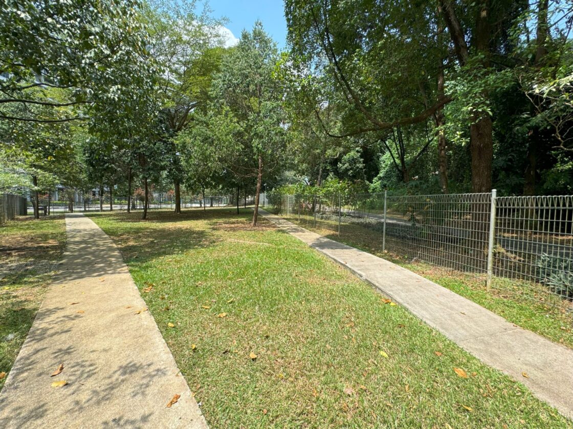 Yishun Park Dog Runの画像3