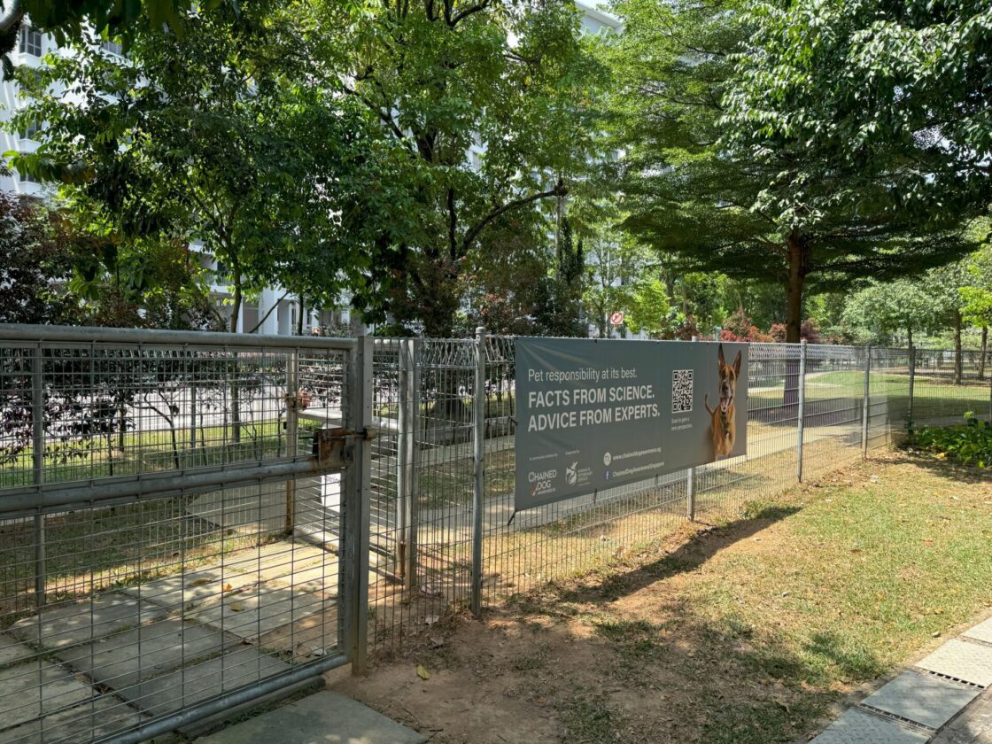 Yishun Park Dog Runの画像5