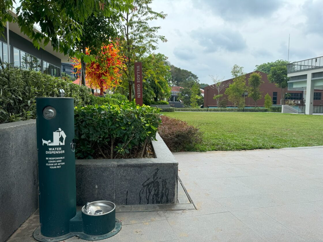 One Holland Village: The Ultimate Pet-Friendly Mallの画像5