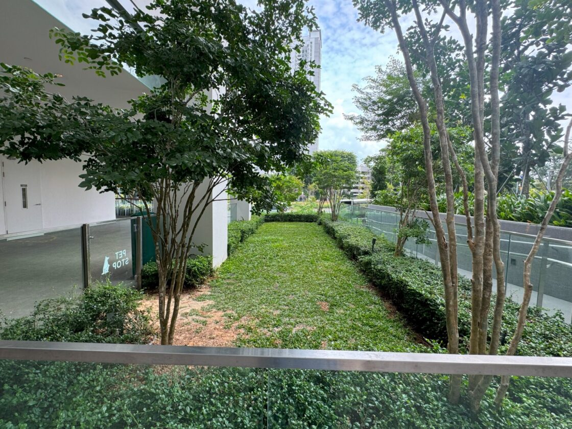 One Holland Village: The Ultimate Pet-Friendly Mallの画像4