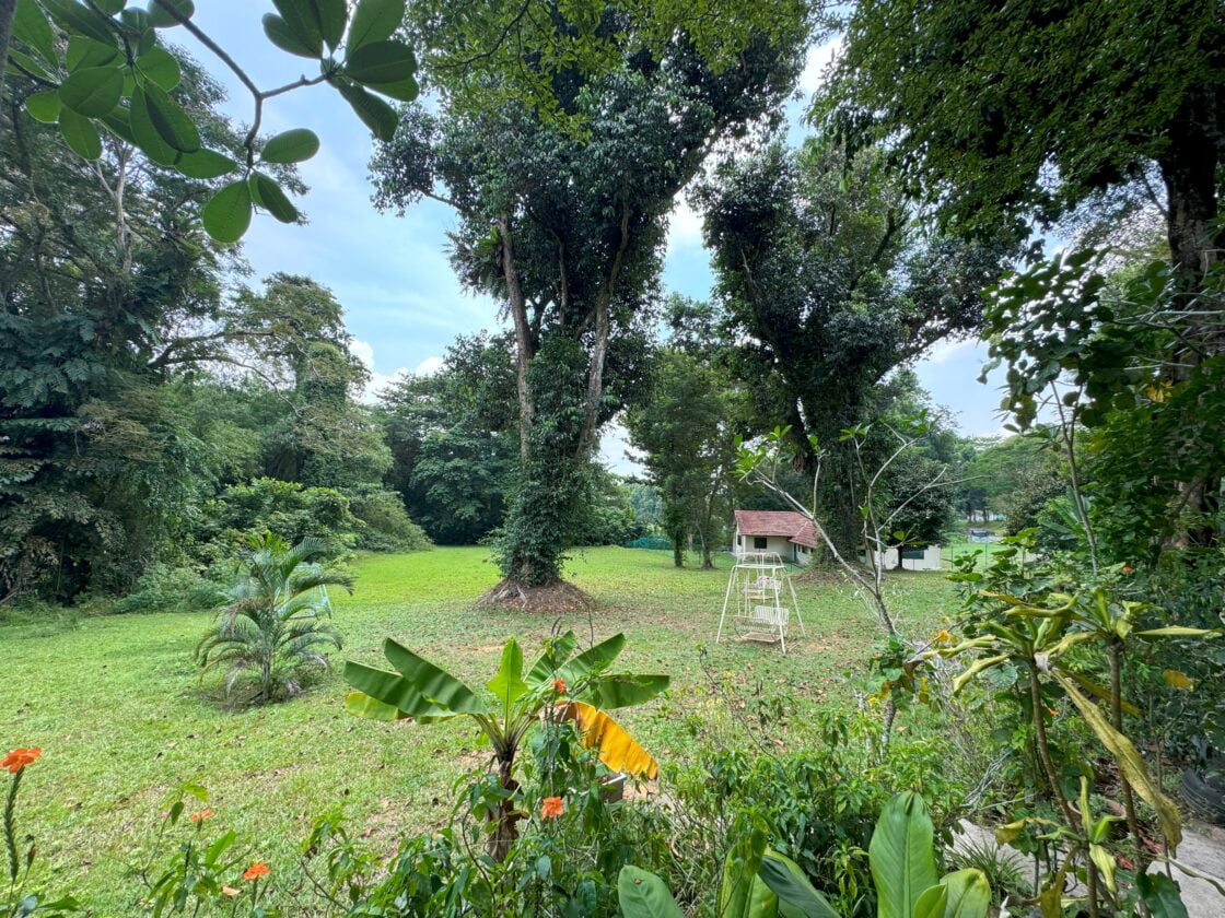 The Coastal Settlementの画像6