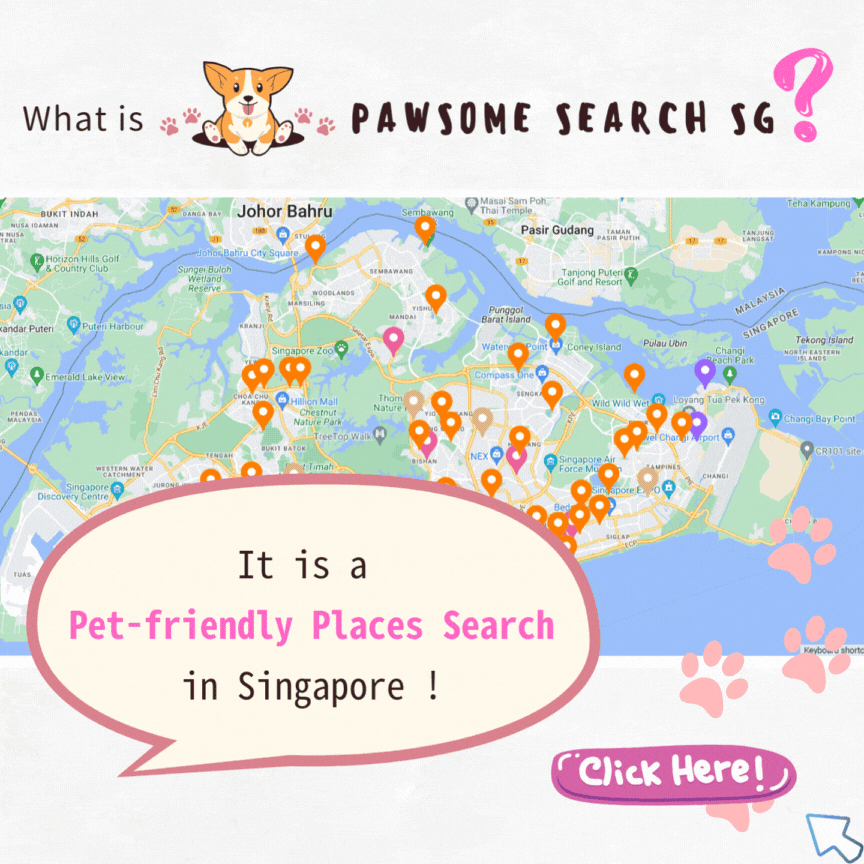 Pawsome Search SG
